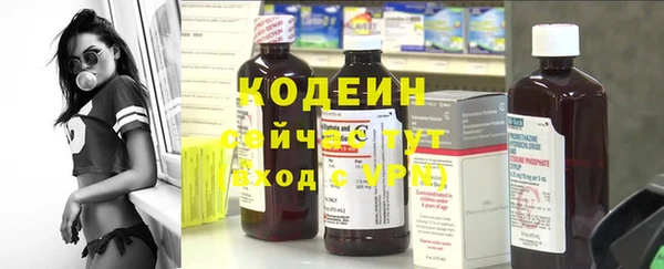 прущие грибы Саяногорск
