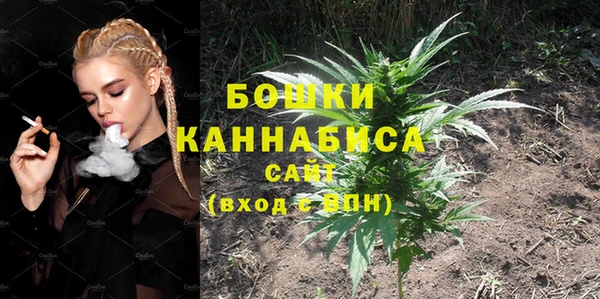 МДПВ Семёнов