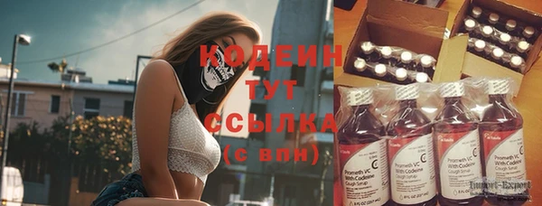 МДПВ Семёнов