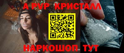 индика Тула