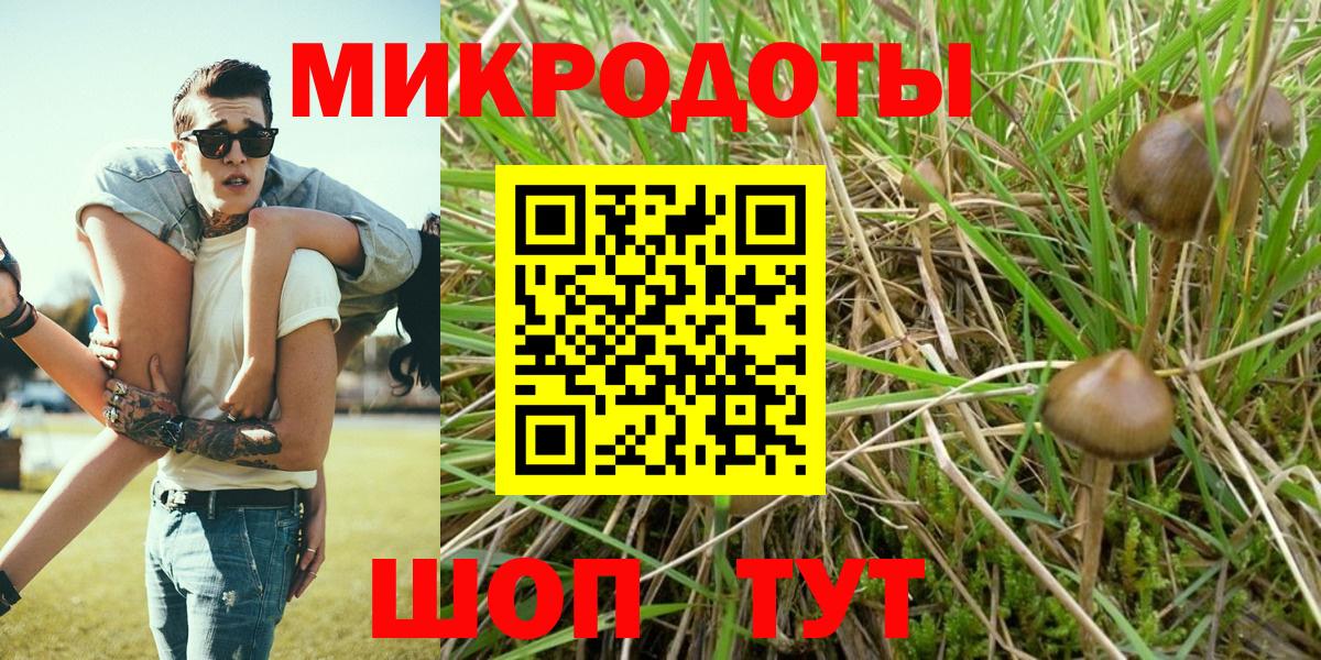 Галлюциногенные грибы прущие грибы Светлоград