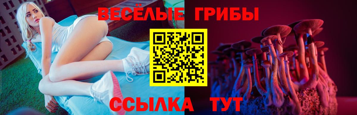 Галлюциногенные грибы MAGIC MUSHROOMS  Вход с VPN  Псилоцибиновые грибы мицелий  Светлоград 